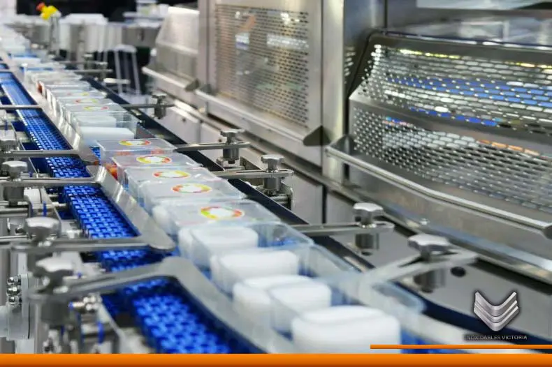 linea de produccion de la industria alimentaria