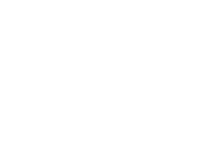 PTR de Acero Inoxidable 5 isologo del deutsches institut fur normung
